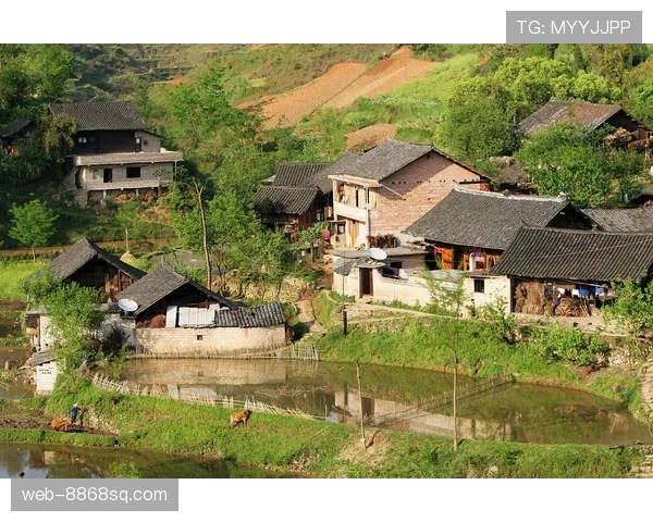 少有人知的场内场外犯规判罚差异，裁判如何界定边界？